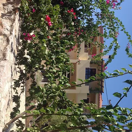 Апартаменты Alexandraki *