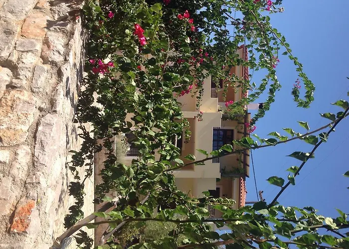 Appartement Alexandraki *